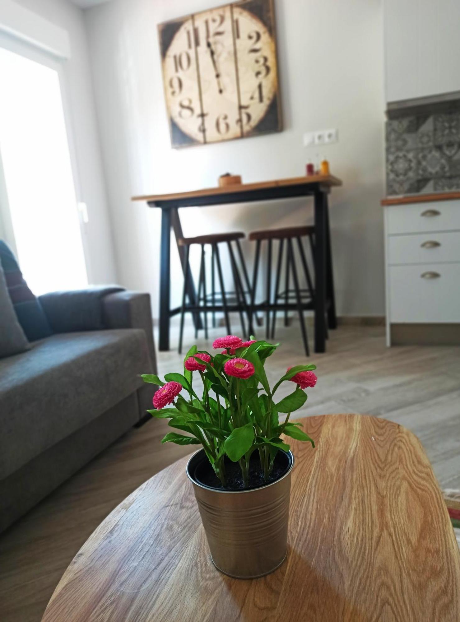 Barcelo 21, Parking On Request, Atico With Terrace & Studio With Patio, Center, Breakfast Included, Quite Neighborhood, Bc Málaga Habitación foto